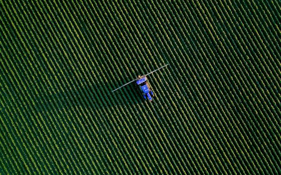 Aerial view of a crop field